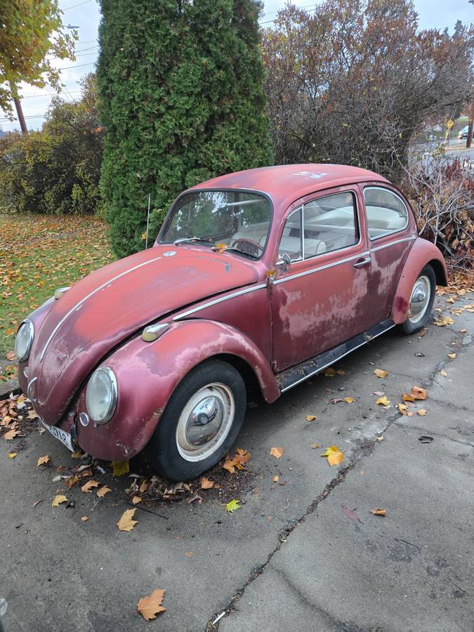 Volkswagen-Beetle-1965-red