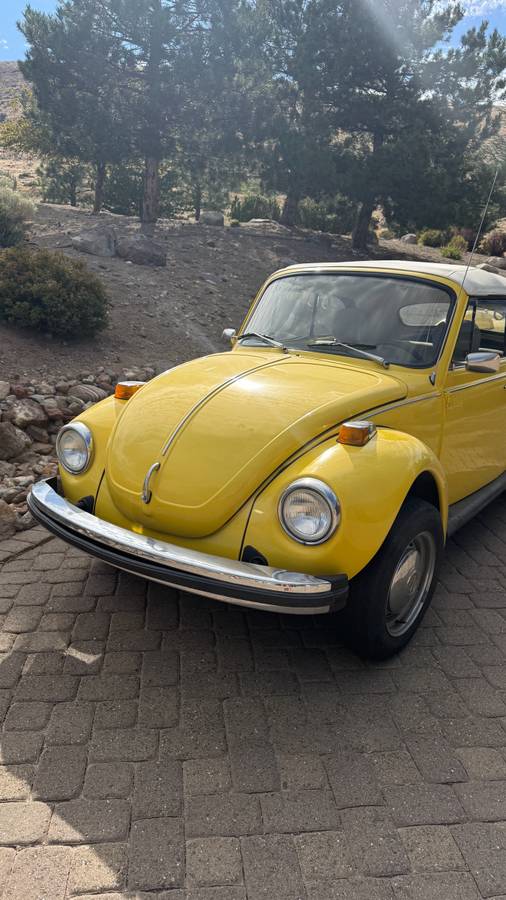Volkswagen-Beetle-1979-yellow