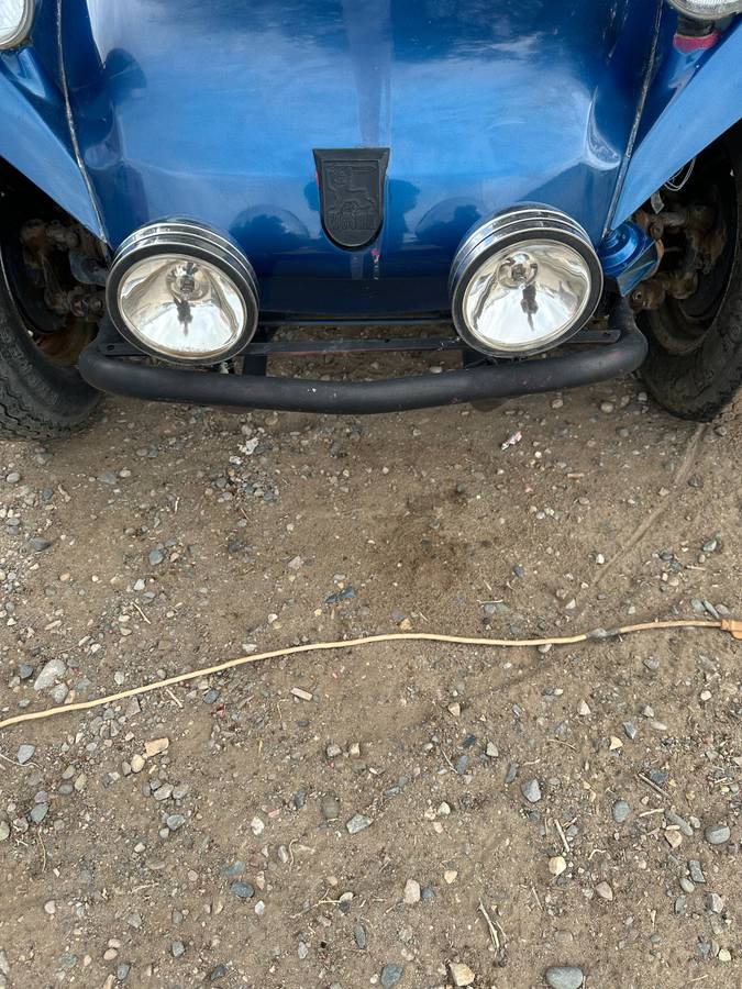 Volkswagen-Buggy-1964