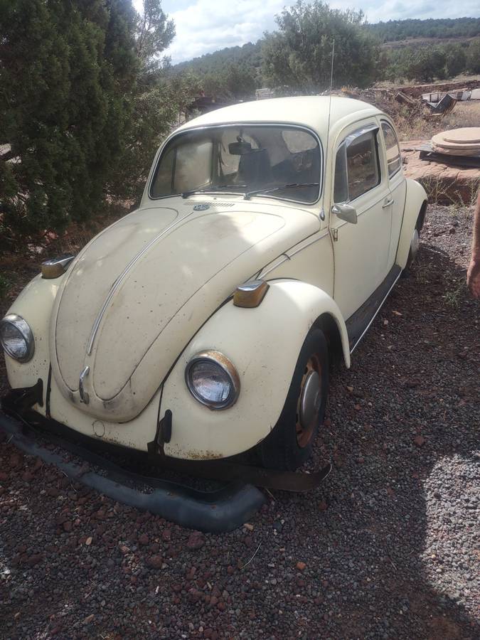 Volkswagen-Super-beetle-1970-yellow