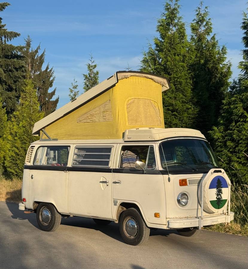 Volkswagen-Westfalia-1974-white