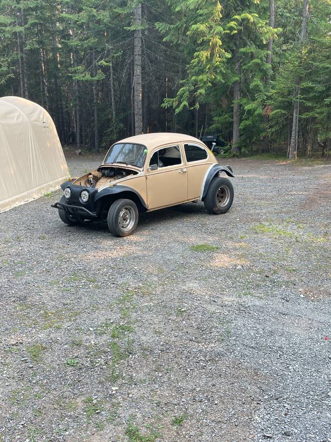 Vw-1969