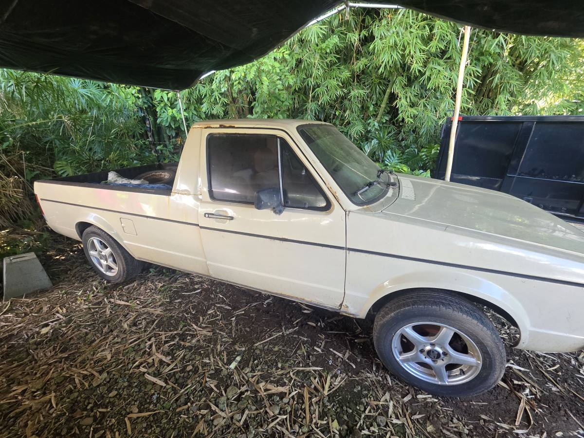 Vw-1981