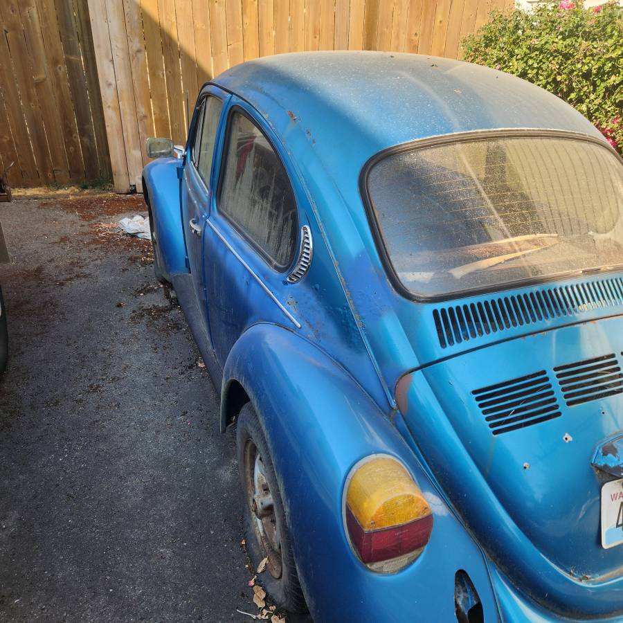 Vw-beetle-1974-blue