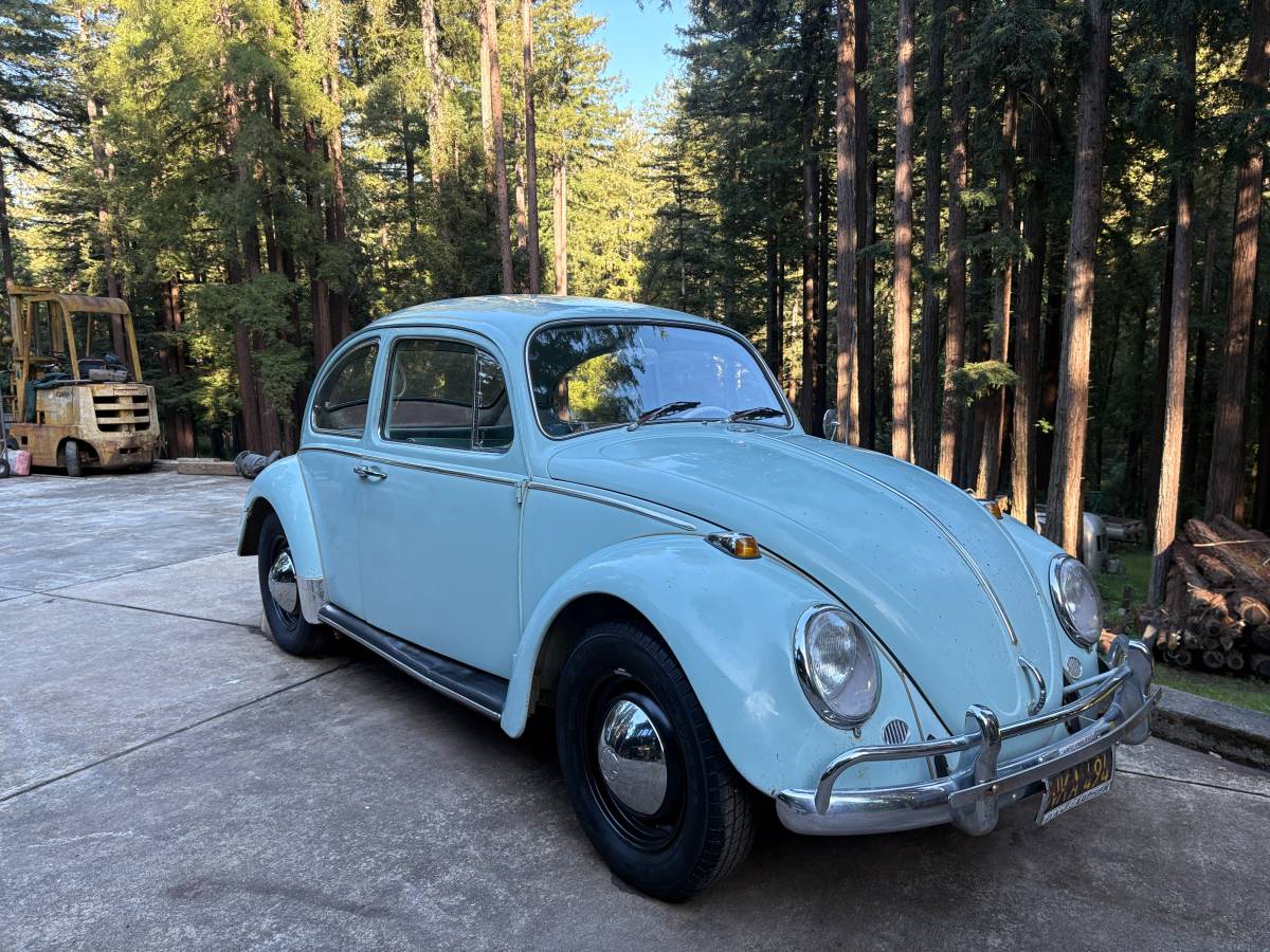 Vw-bug-1965