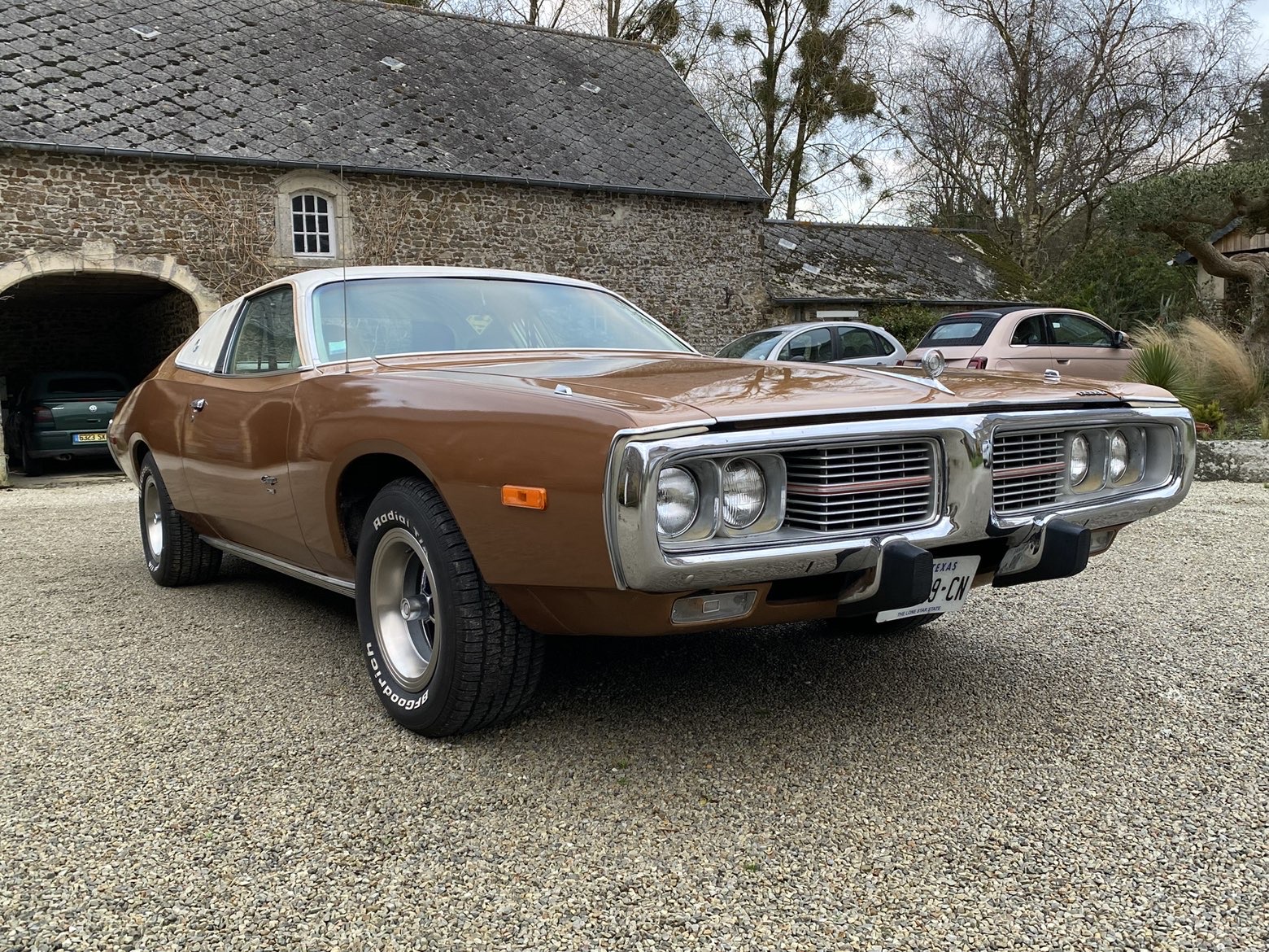 goodtimers-Dodge-Charger-1974-6
