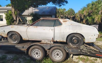 AMC AMX 1973