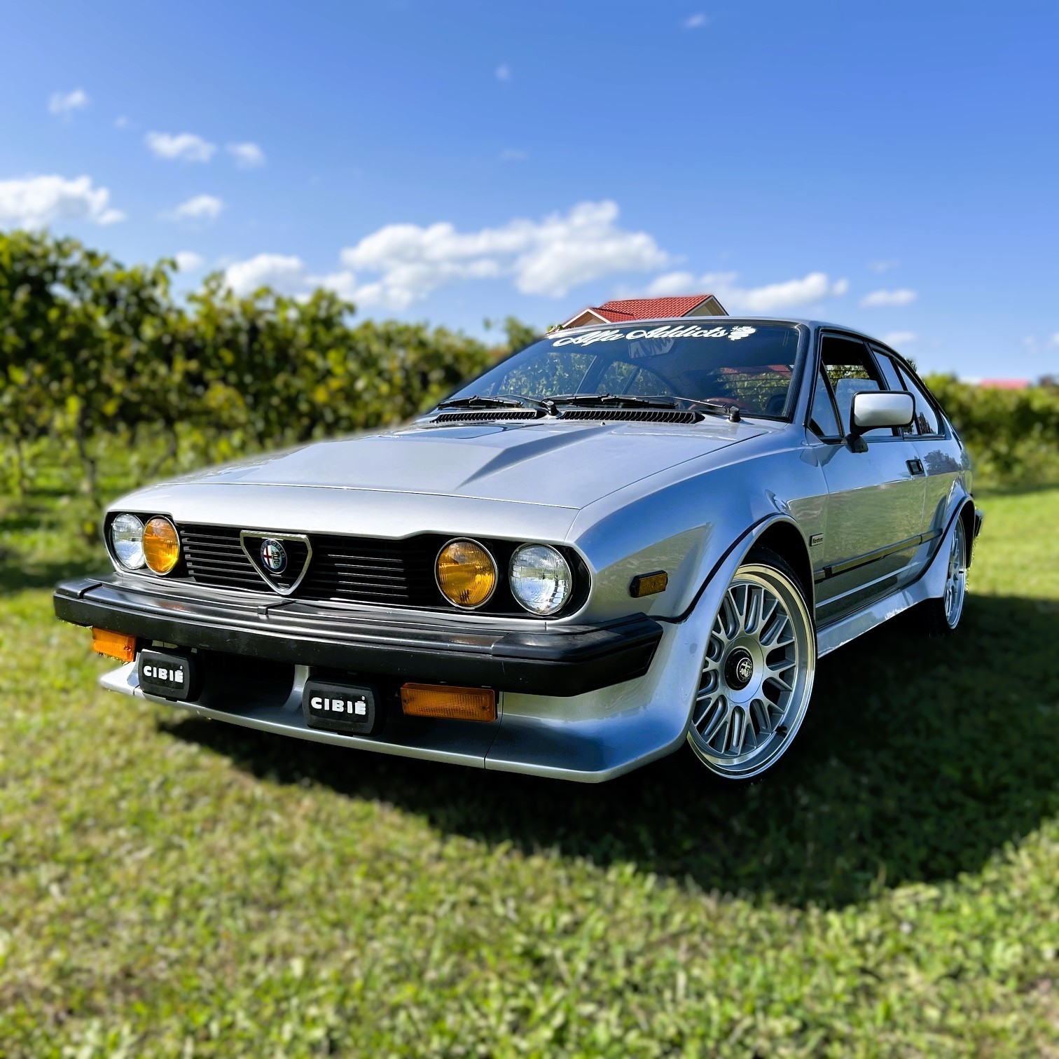 Alfa-Romeo-GTV6-Maratona-1984-Hatchback-Black
