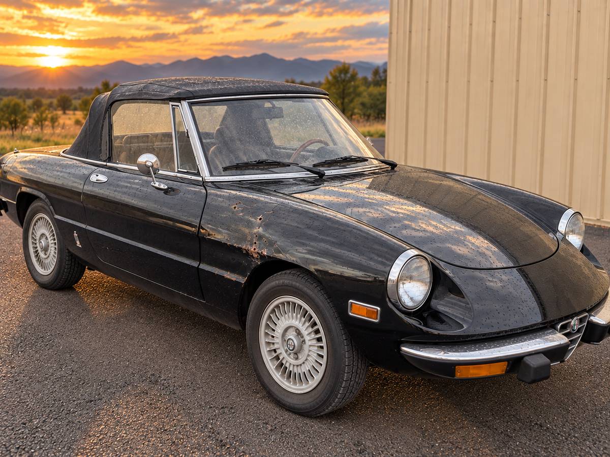Alfa-romeo-Spider-1978-Black