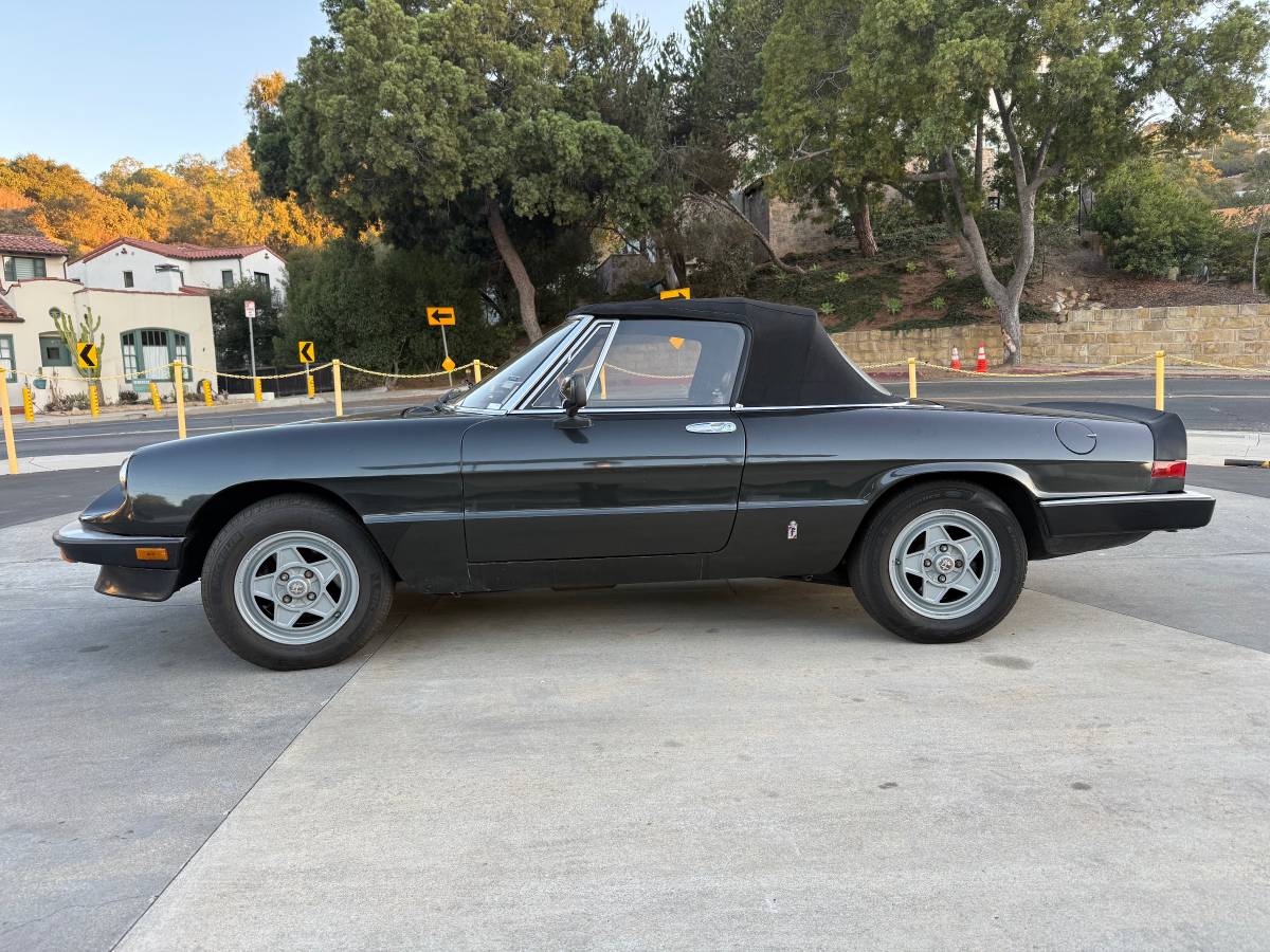 Alfa-romeo-Spider-1984