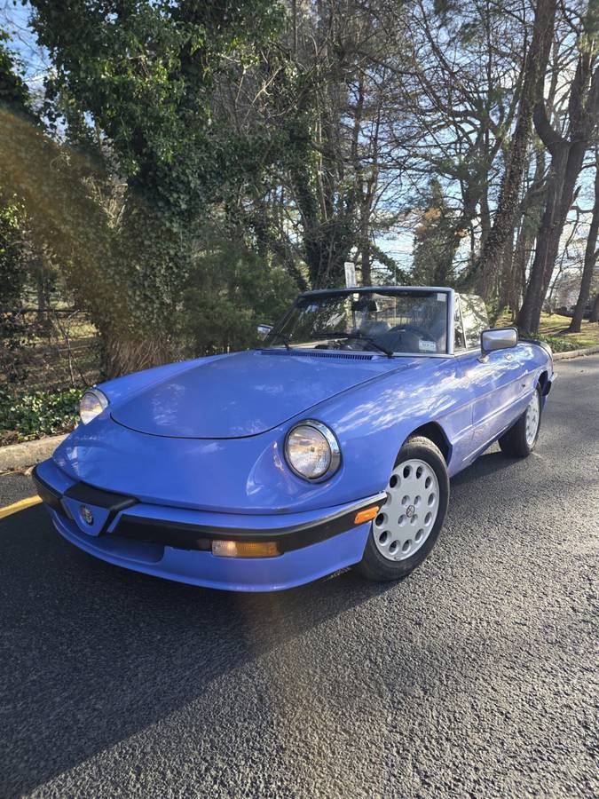 Alfa-romeo-Spider-1987-Blue