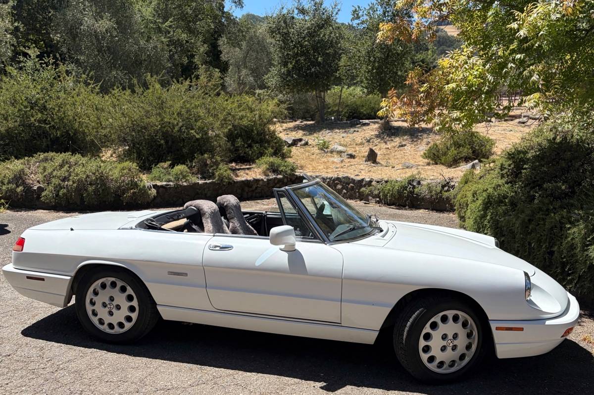 Alfa-romeo-Spider-1993-White