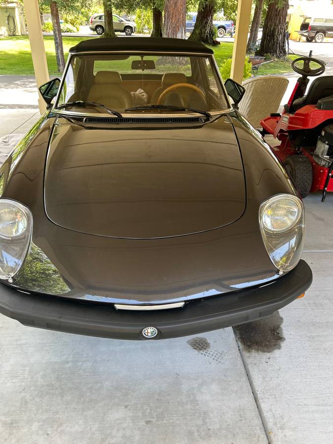 Alfa-romeo-Spider-veloce-pininfarina-1982
