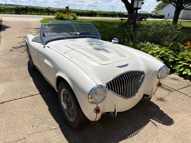 Austin-Healey-1955