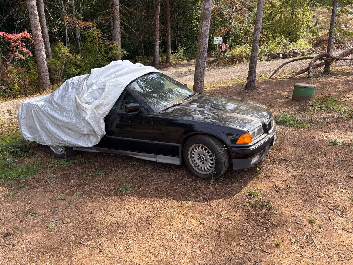 Bmw-3-series-1994-Black