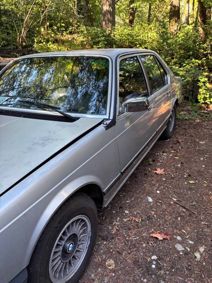 Bmw-733i-1979-Silver