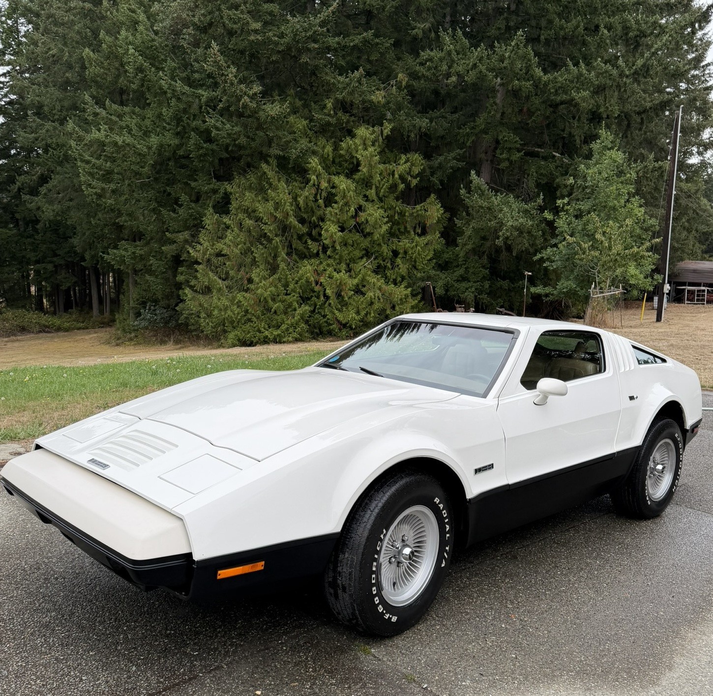 Bricklin-SV-1-1975-Fastback-Brown