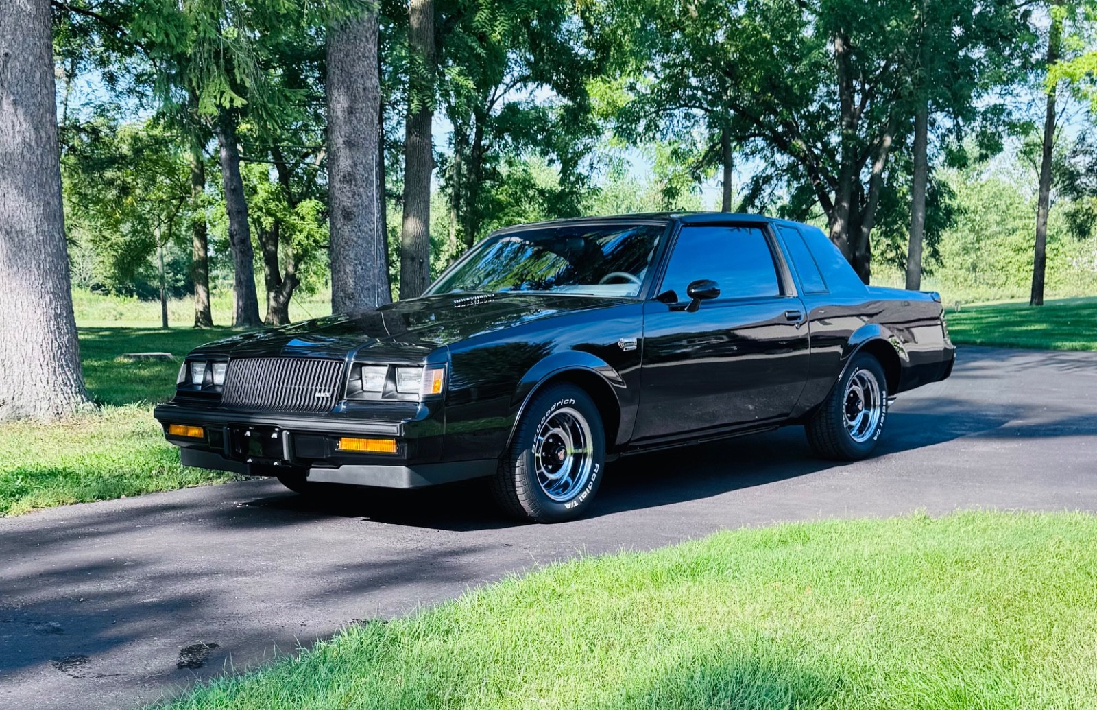 Buick Regal 1987