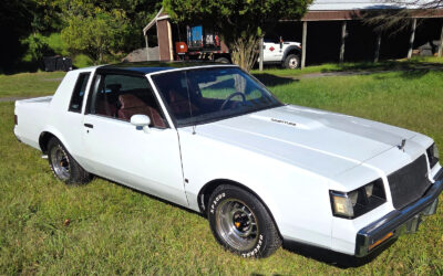 Buick Regal 1987