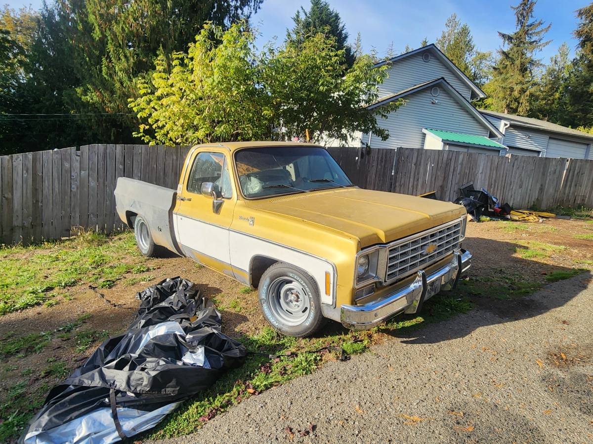 C10-1976-custom