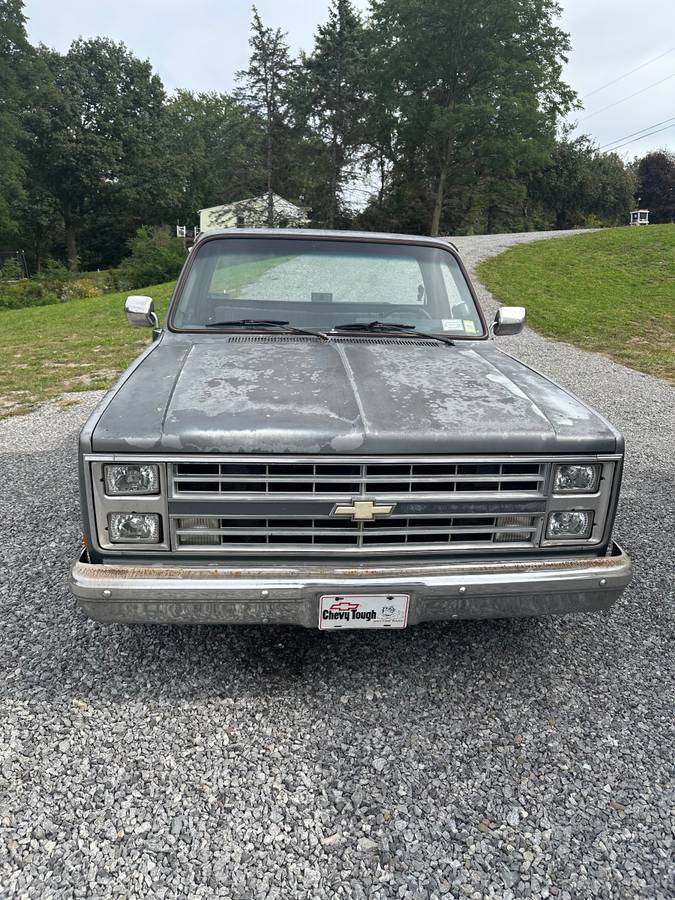 C10-1986