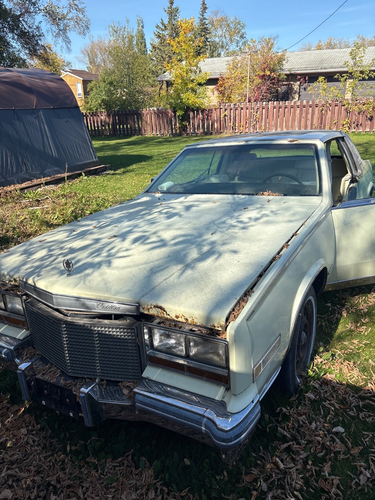 Cadillac-Eldorado-1981