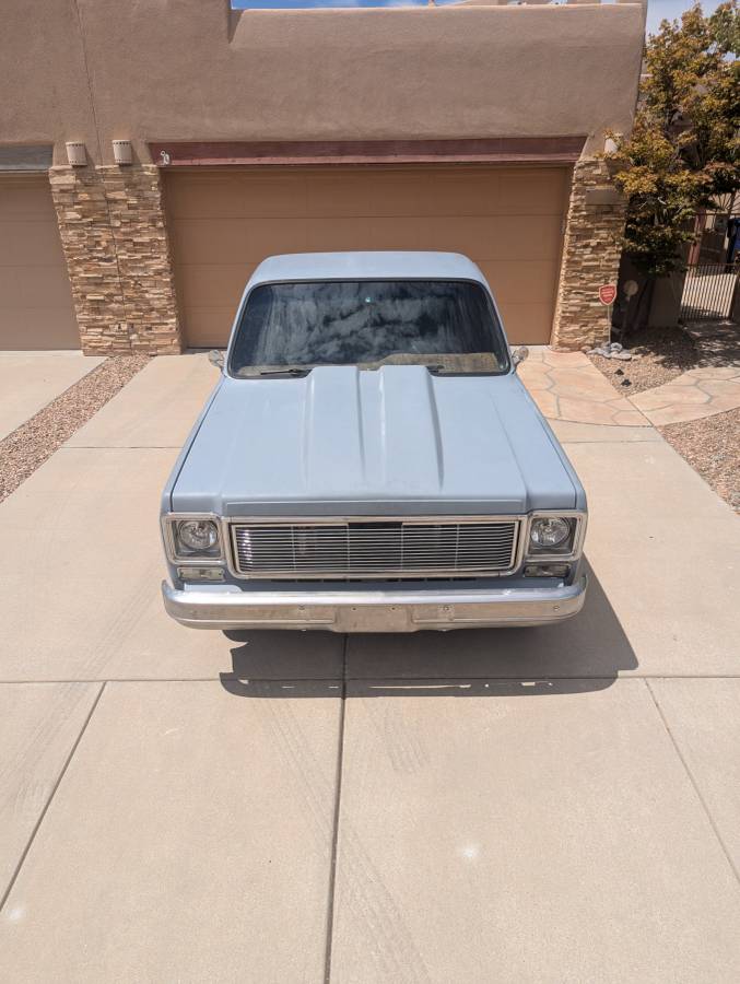 Chevrolet-C10-1974-Gray