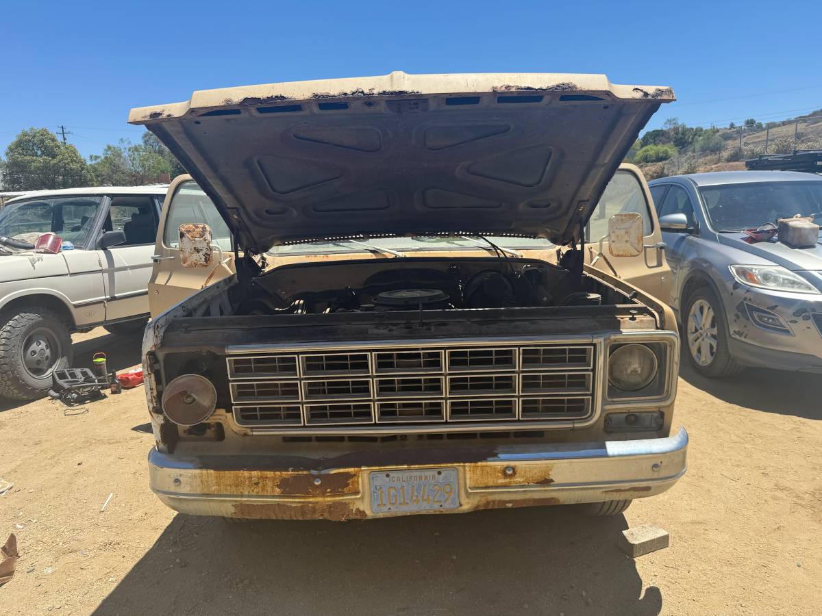 Chevrolet-C10-1977-custom