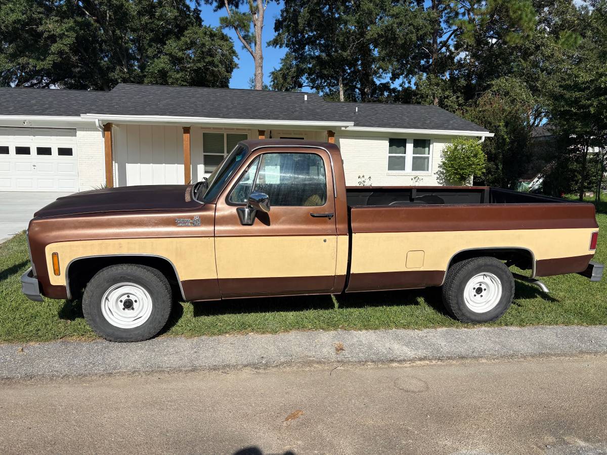 Chevrolet-C10-1979-Brown