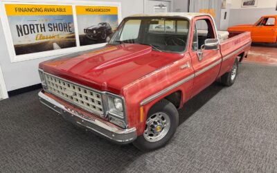 Chevrolet C20 1980