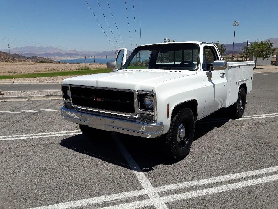 Chevrolet-C20-truck-1978-White
