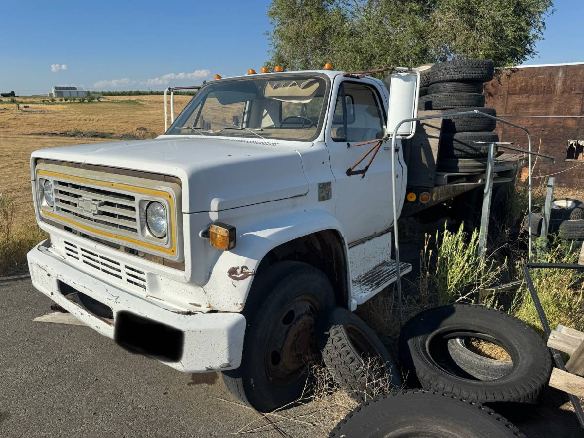 Chevrolet-C60-dump-truck-1976-White