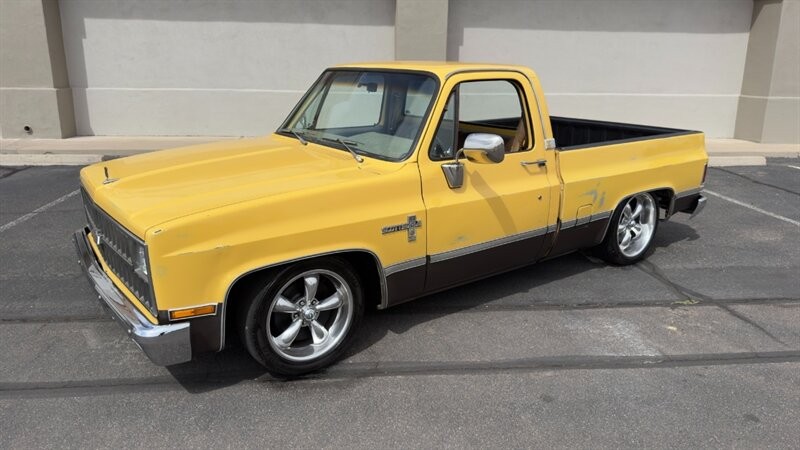 Chevrolet C/K 10 Series 1981