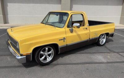 Chevrolet C/K 10 Series 1981