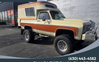 Chevrolet C/K 1500 Series 1976