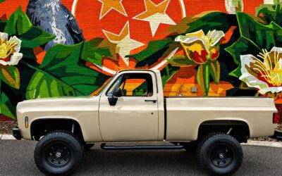 Chevrolet C/K Pickup 1500 1978