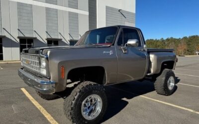 Chevrolet C/K Pickup 1500 1980