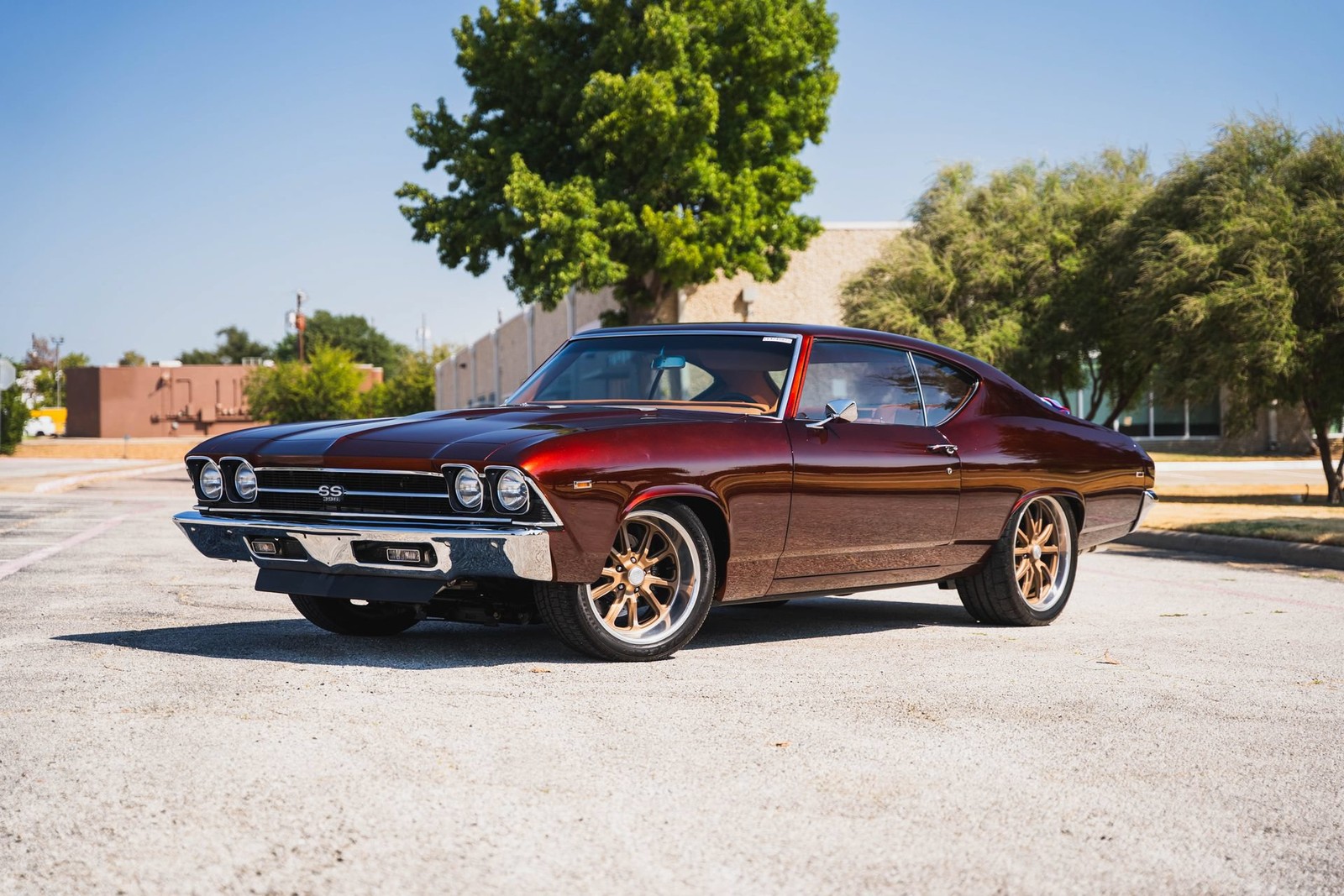 Chevrolet-Chevelle-1969-2D-Roadster-Black