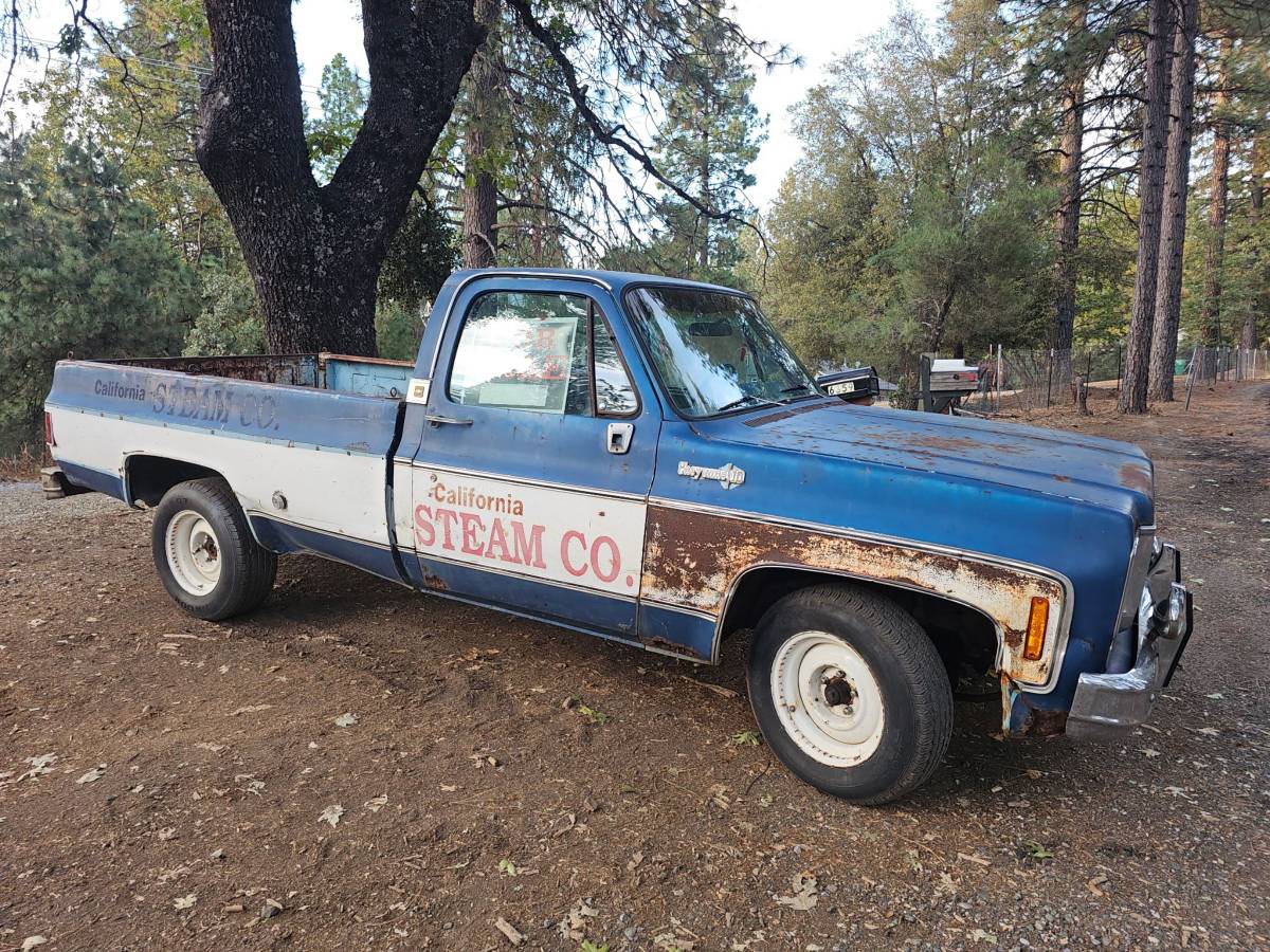 Chevrolet-Ck-1974-Blue