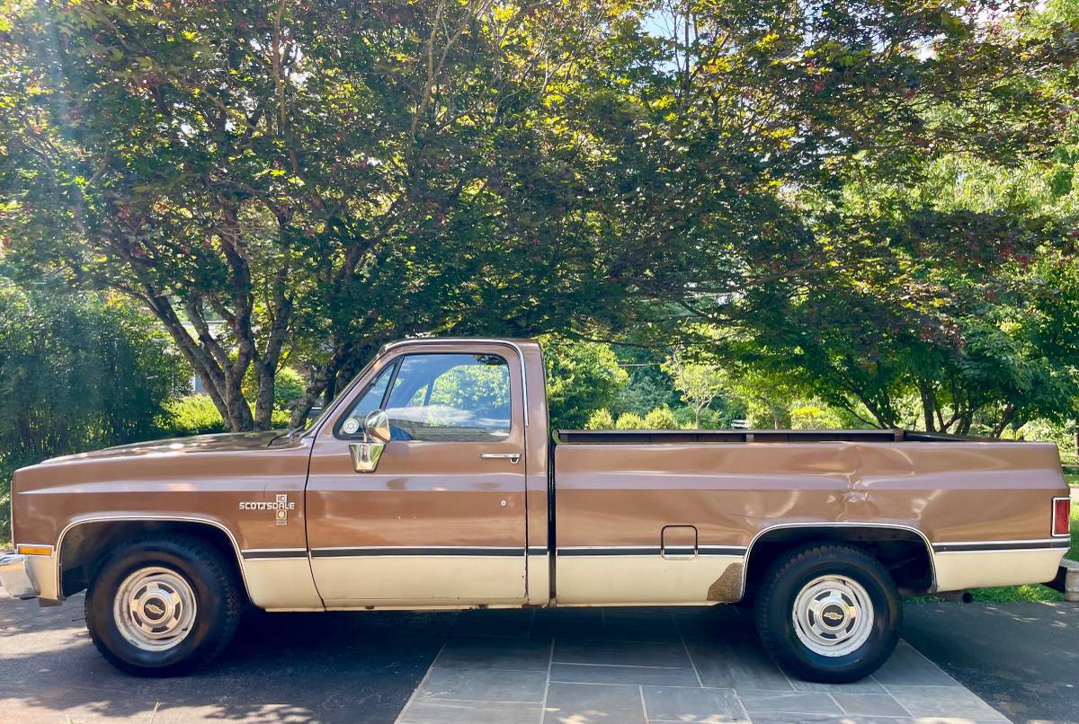 Chevrolet-Ck-1981-Brown