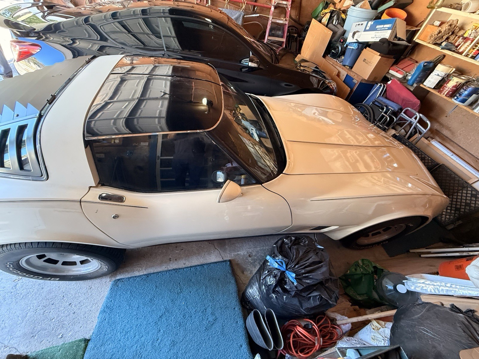 Chevrolet Corvette 1981