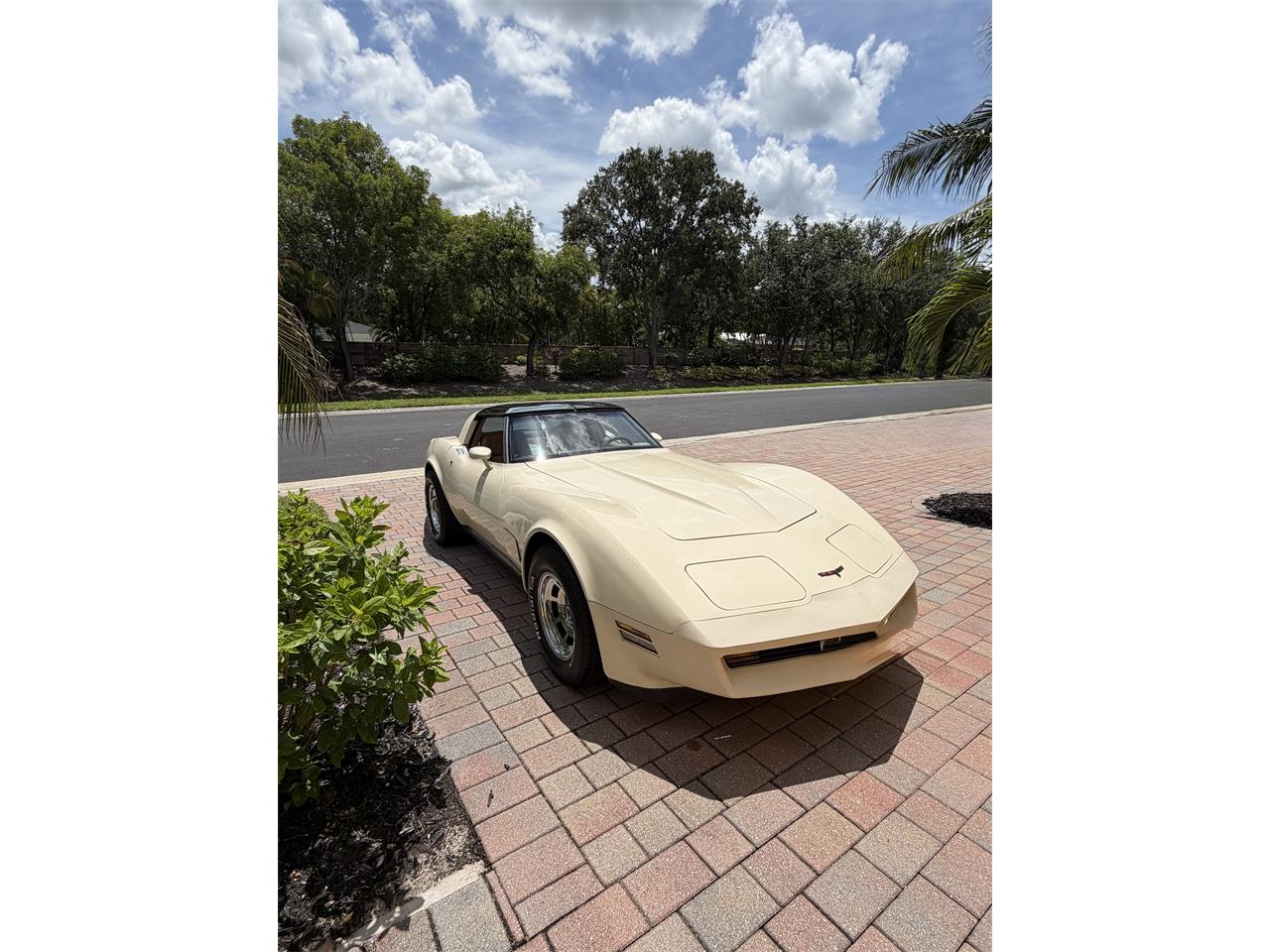 Chevrolet-Corvette-1981-Tan-Tan