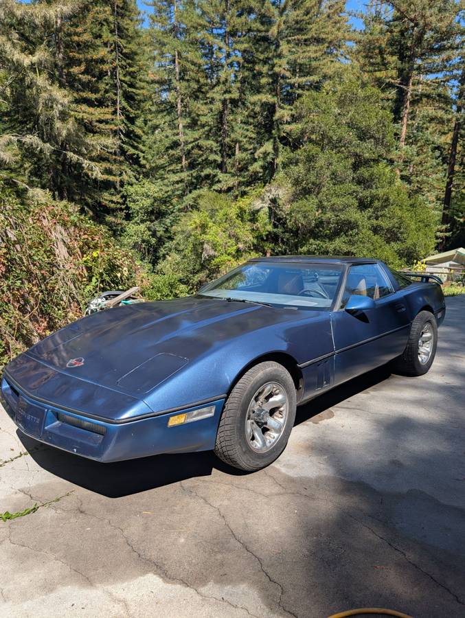 Chevrolet-Corvette-1984-Blue