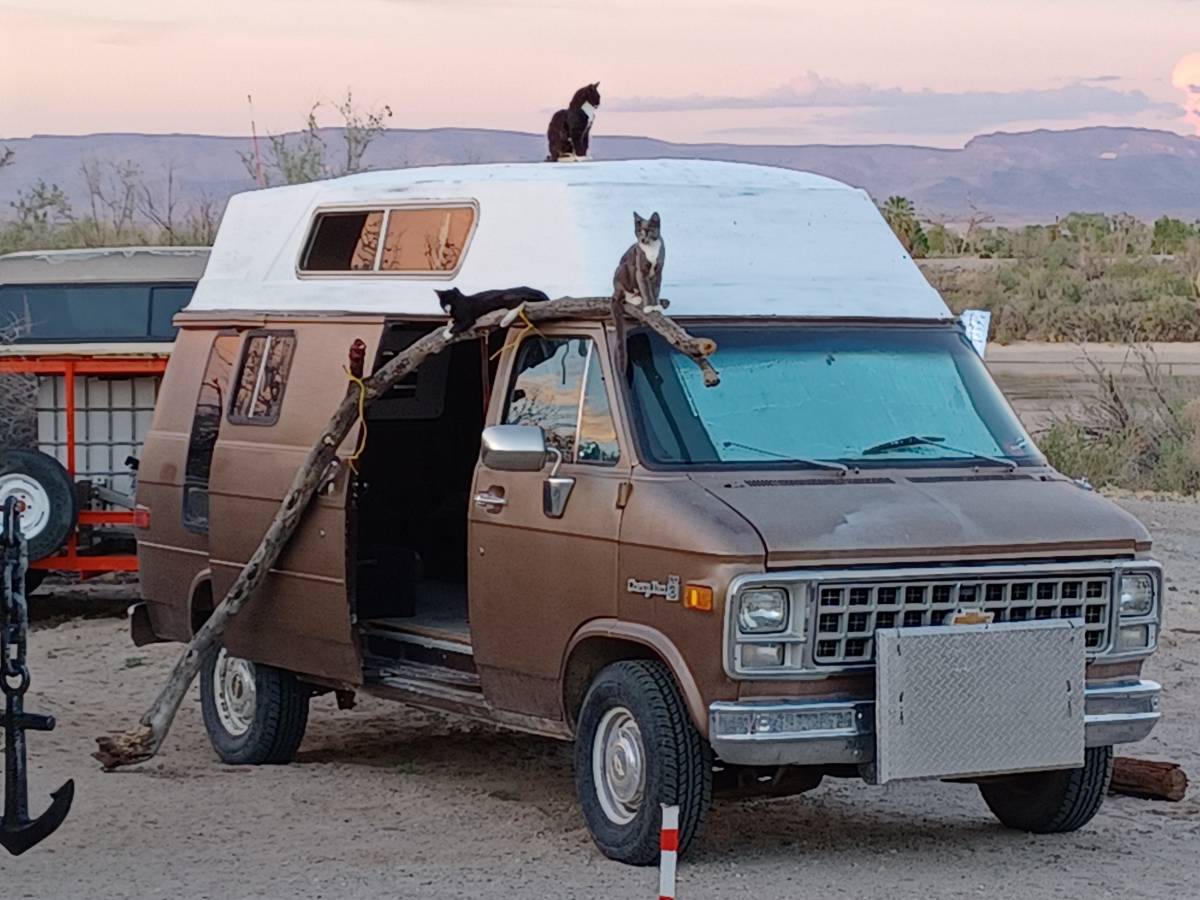 Chevrolet-G-20-1981-Brown