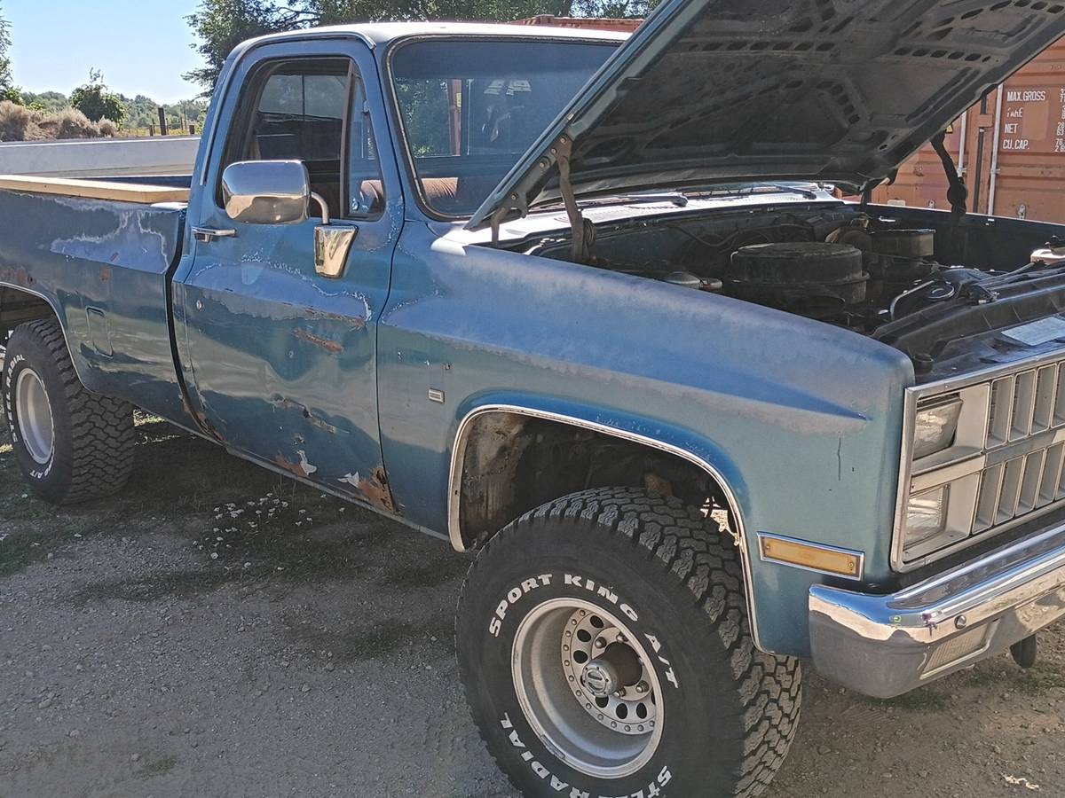 Chevrolet-K10-1981-Blue
