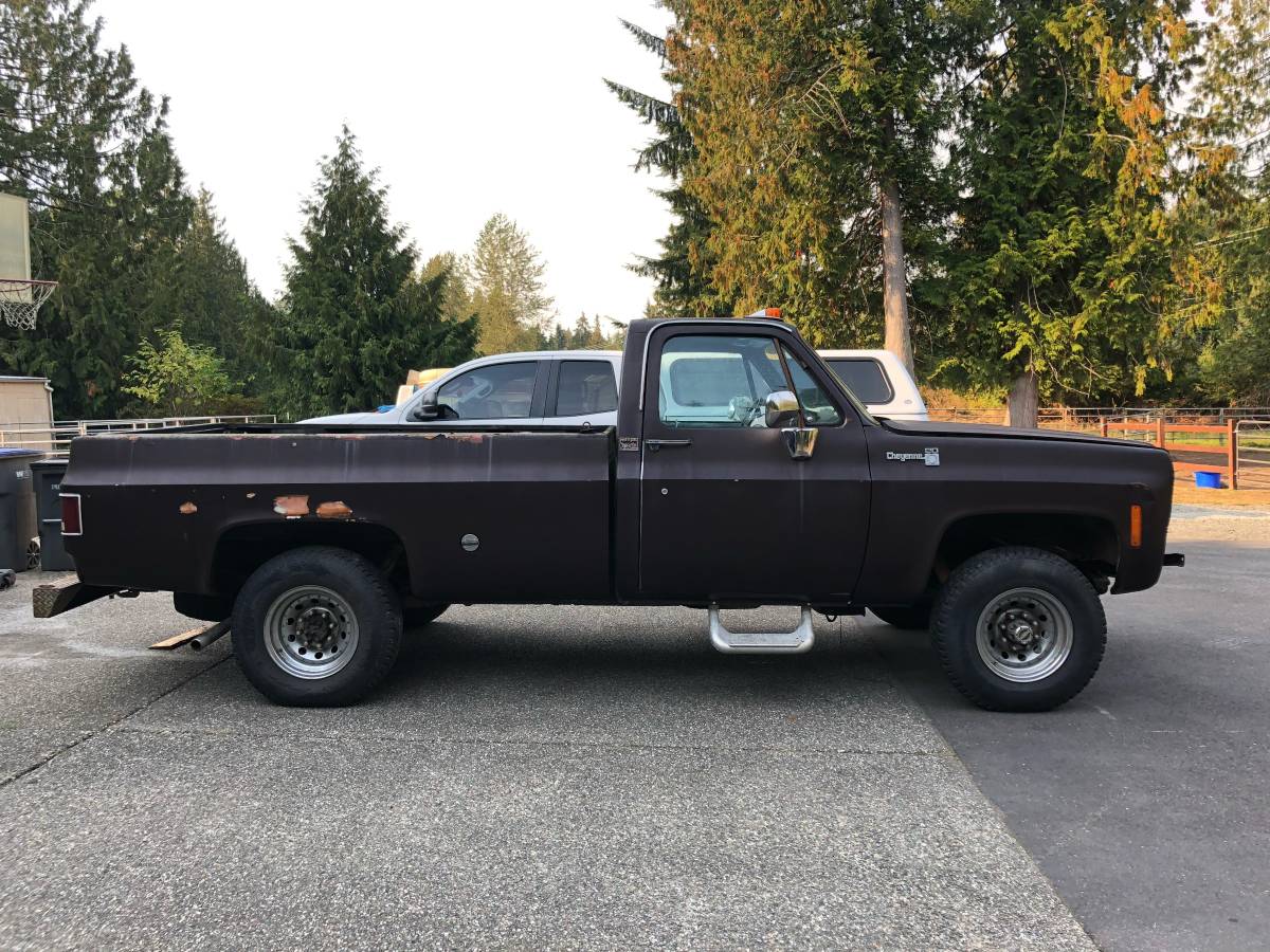 Chevrolet-K2pu-1977-Brown