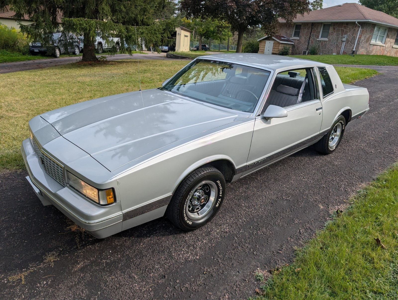 Chevrolet-Monte-Carlo-1987-Coupe-grey