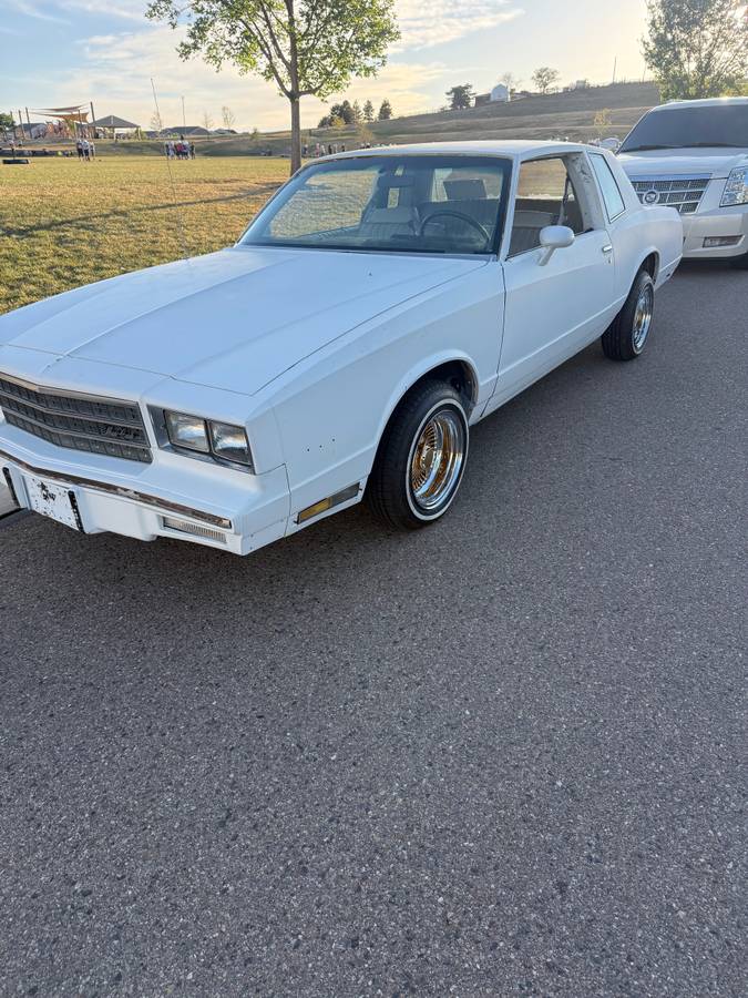 Chevrolet-Monte-carlo-1981-White