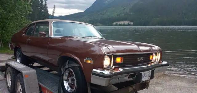 Chevrolet-Nova-1974