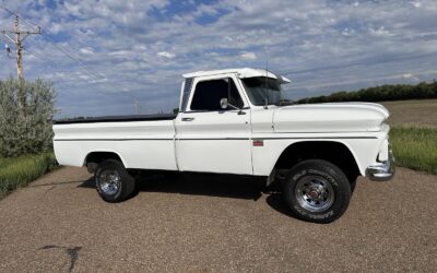 Chevrolet Other Pickups 1965
